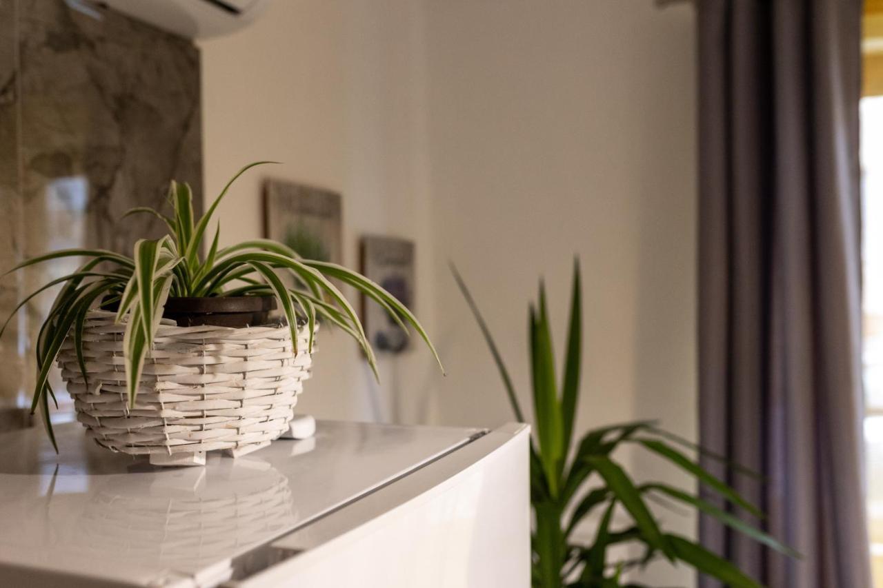Studio Apartman Planb, Self Check In Osijek Eksteriør bilde